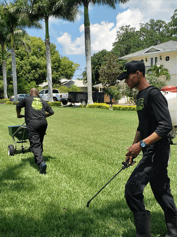 Plant It Earth Weed &amp; Pest Control Tampa St Pete