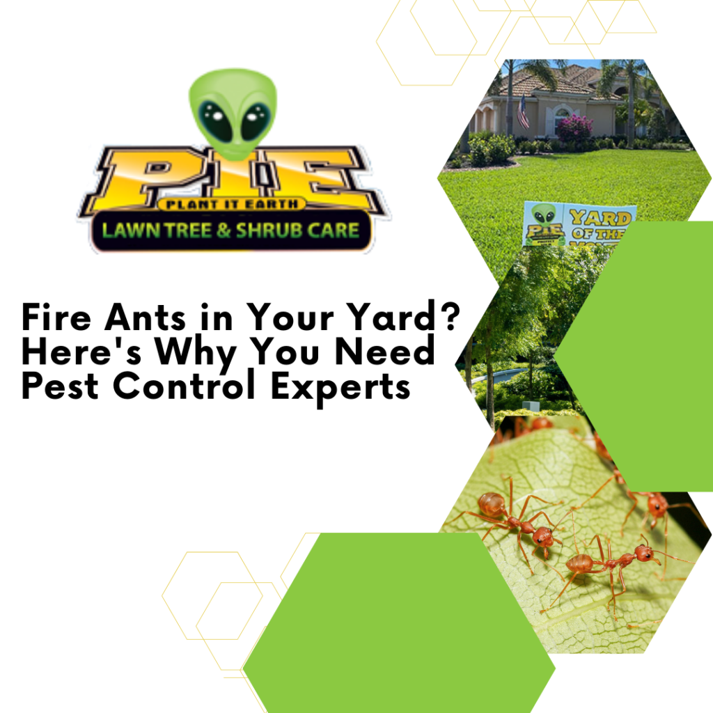 Tackle Fire Ants