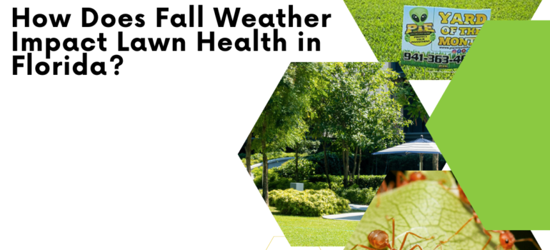 Fall Weather and Lawn Health