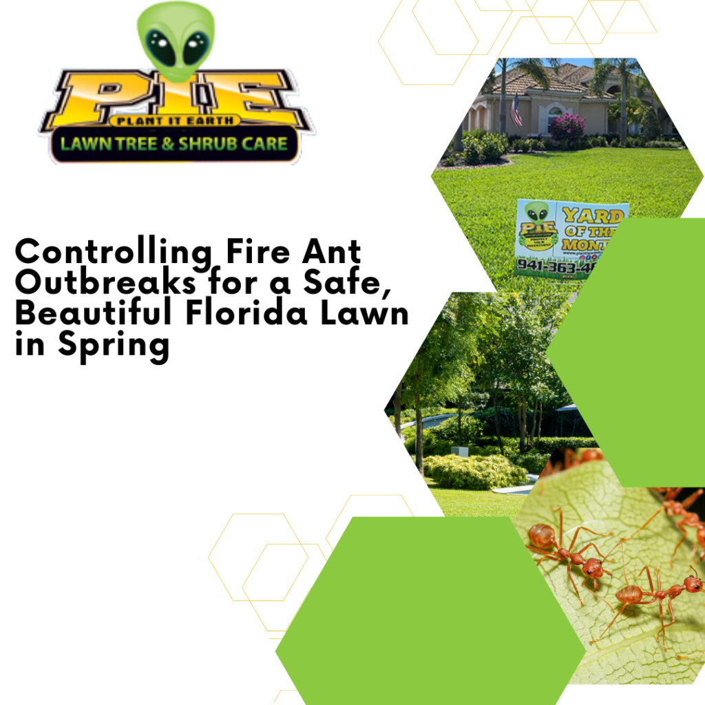 Controlling Fire Ant